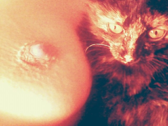 Проститутка Ленка - 1500 рублей, метро Новослободская, телефон +7 (916) 519-75-88 - фото 4